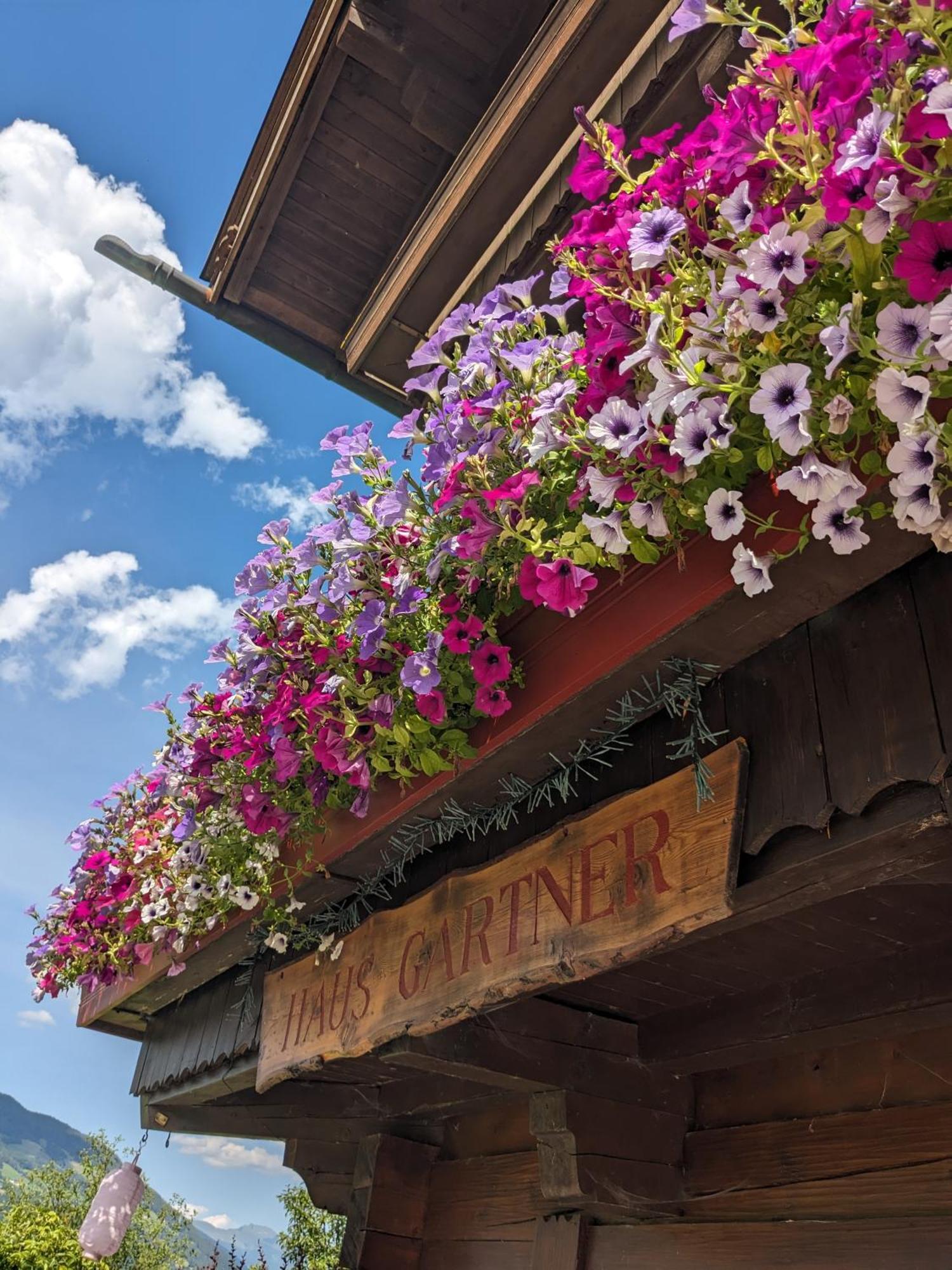 Haus Gartner 4-5 Pers Appartement Sulzau エクステリア 写真